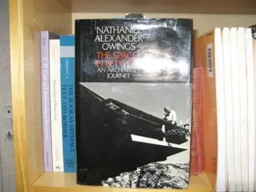 Cover of The spaces in between
