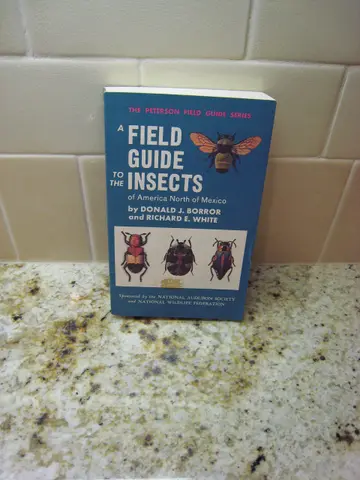 Cover of Field Guide to the Insects of America North of Mexico