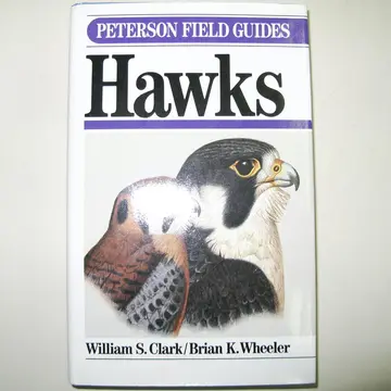 Cover of Field Guide to Hawks