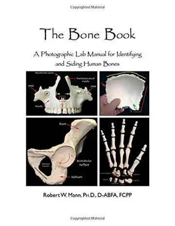 Cover of The Bone Book