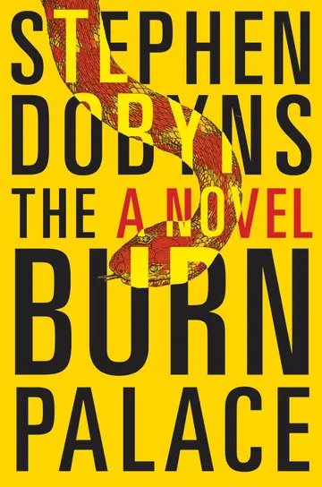 Cover of The Burn Palace