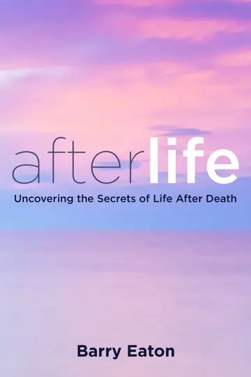 Cover of Afterlife