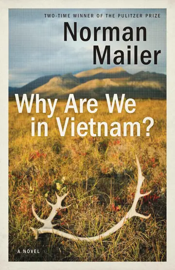 Cover of Why Are We in Vietnam?