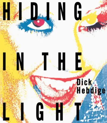 Cover of Hiding in the Light