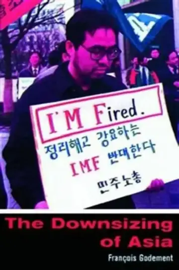 Cover of The Downsizing of Asia