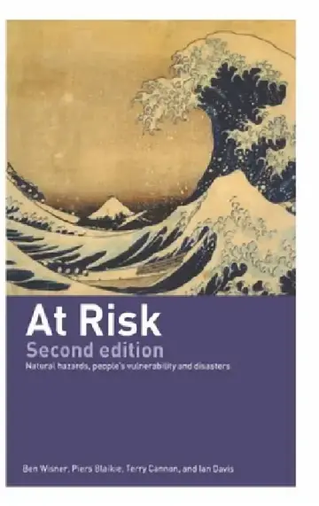 Cover of At Risk