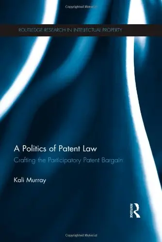 Cover of A Politics of Patent Law