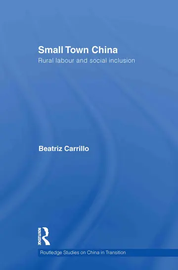 Cover of Small Town China