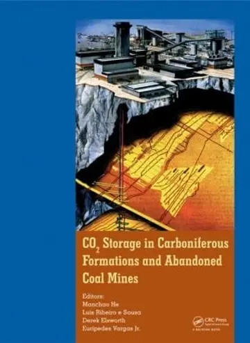 Cover of Co2 Storage in Carboniferous Formations and Abandoned Coal Mines