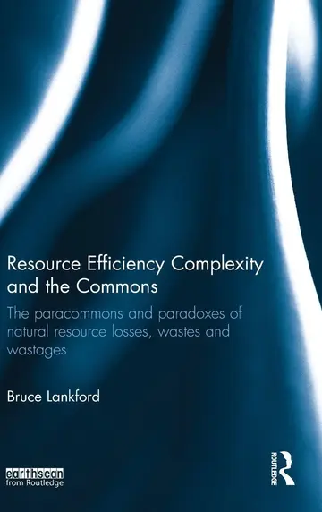 Cover of Resource Efficiency Complexity and the Commons