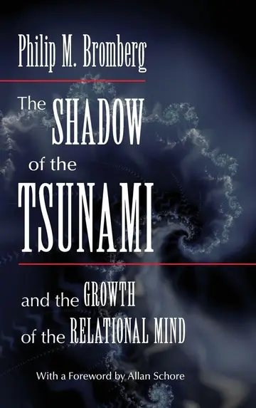 Cover of The Shadow of the Tsunami