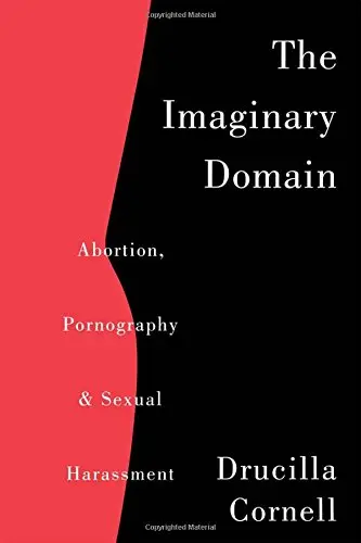 Cover of The Imaginary Domain