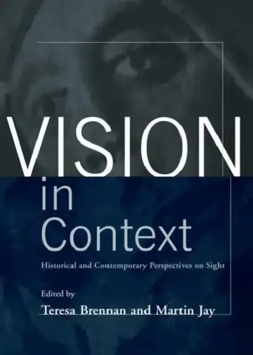 Cover of Vision In Context