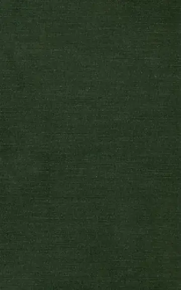 Cover of Fugitive Cultures