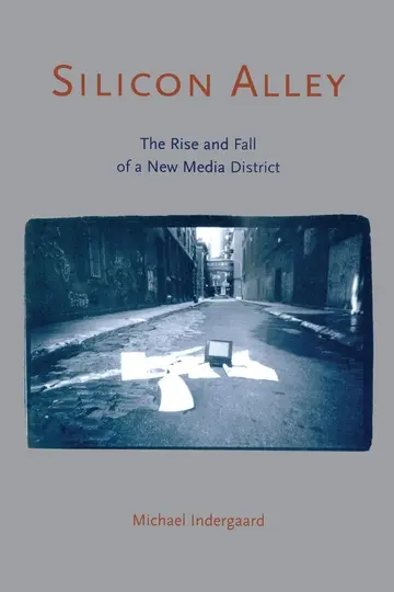 Cover of Silicon Alley