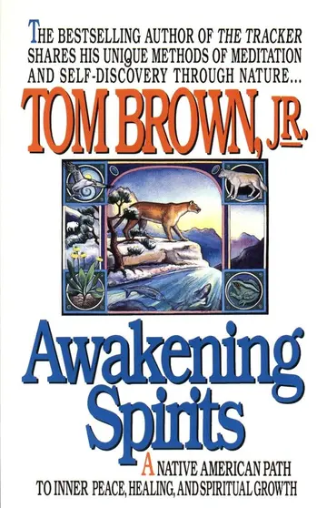 Cover of Awakening Spirits