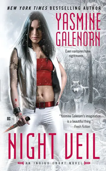 Cover of Night Veil