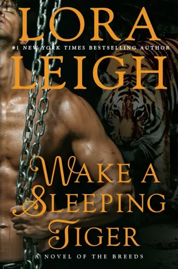 Cover of Wake a Sleeping Tiger
