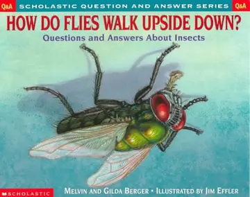 Cover of How Do Flies Walk Upside Down ?