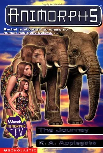 Cover of The Journey - #42