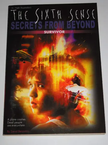 Cover of Secrets from Beyond Survivor