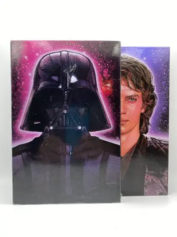 Cover of The Rise and Fall of Darth Vader