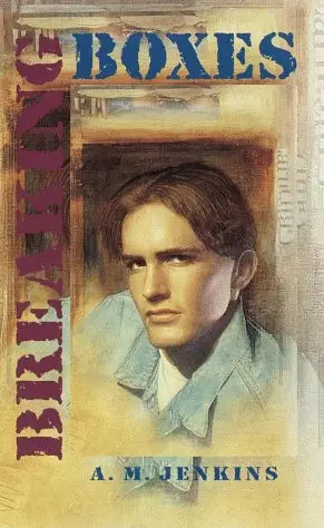 Cover of Breaking Boxes