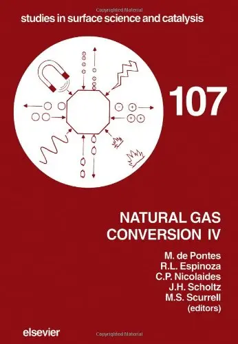 Cover of Natural Gas Conversion IV