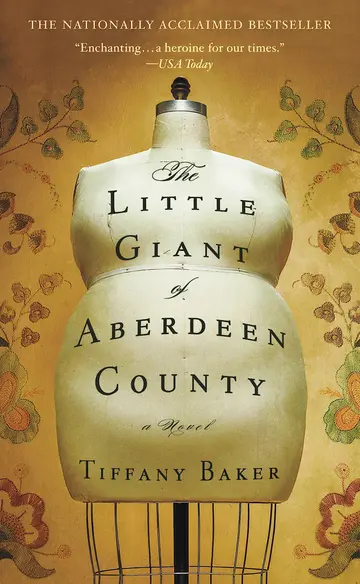 Cover of The Little Giant of Aberdeen County