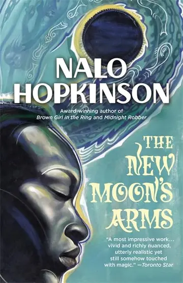 Cover of The New Moon'S Arms