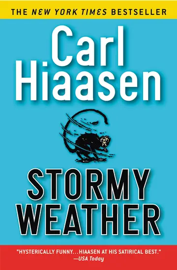 Cover of Stormy Weather