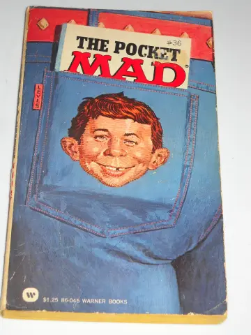 Cover of The Pocket Mad