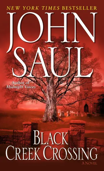Cover of Black Creek Crossing
