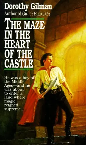 Cover of Maze in the Heart of the Castle