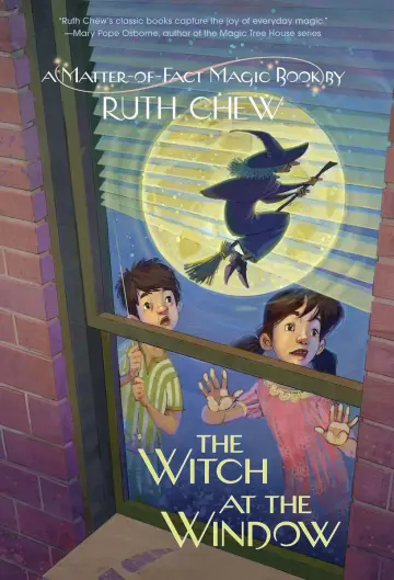 Cover of The Witch at the Window
