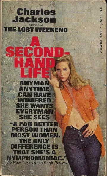 Cover of Second-hand Life