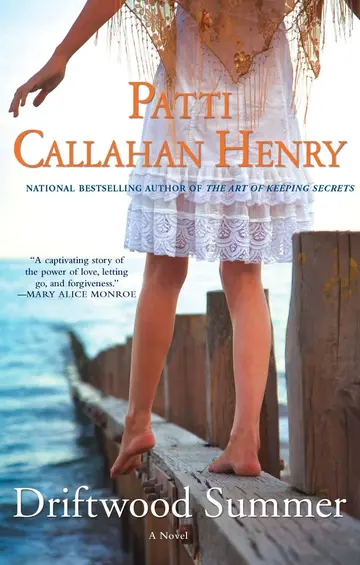 Cover of Driftwood Summer
