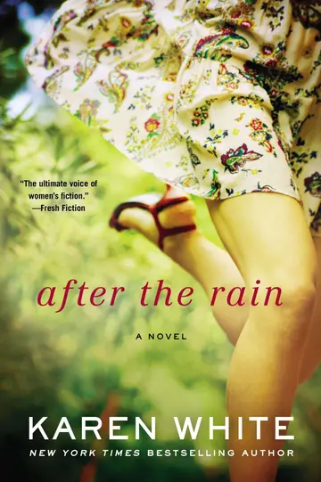 Cover of After the Rain
