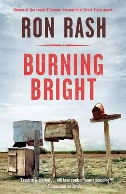 Cover of Burning Bright