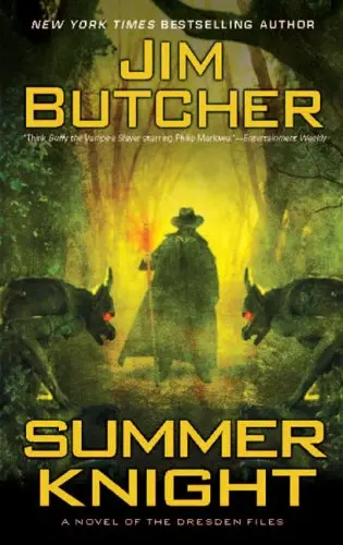 Cover of Summer Knight