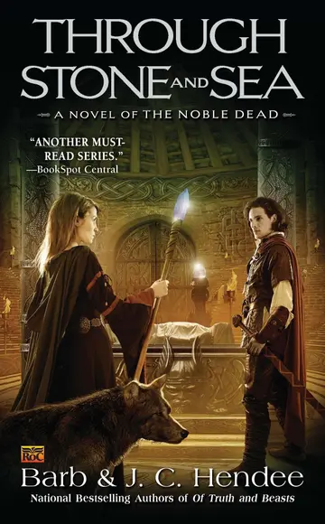 Cover of Through Stone and Sea