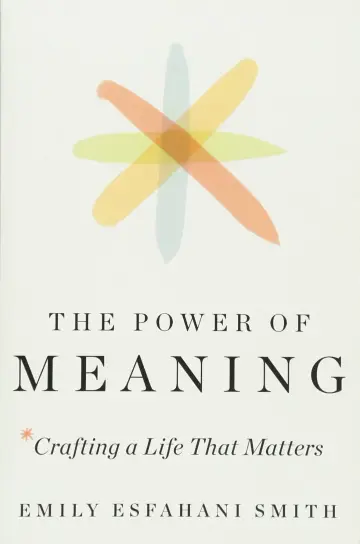 Cover of Power of Meaning the Mr Exp