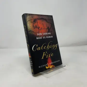Cover of Catching Fire