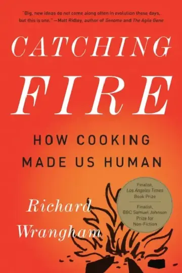 Cover of Catching Fire