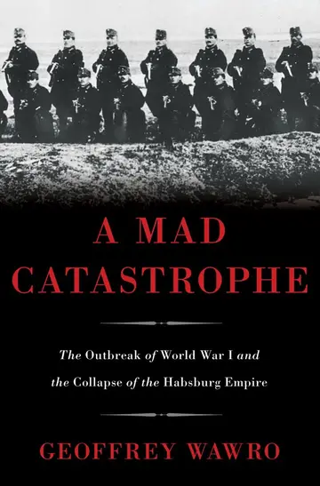 Cover of A Mad Catastrophe