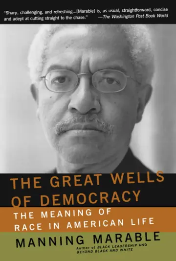 Cover of The Great Wells of Democracy