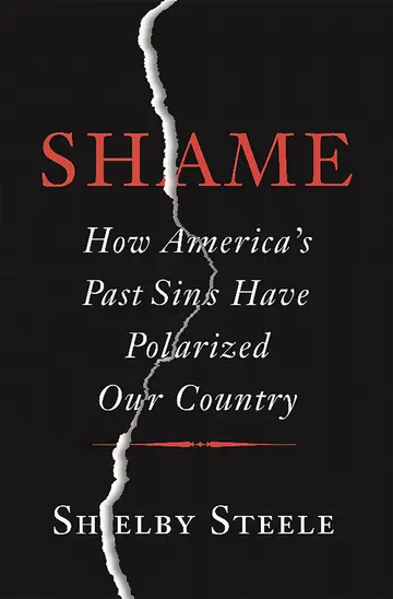 Cover of Shame