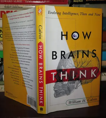 Cover of How Brains Think
