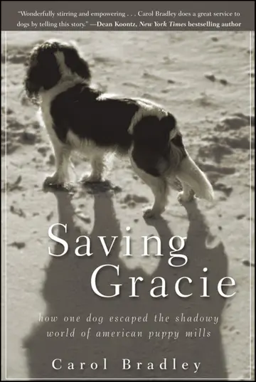 Cover of Saving Gracie