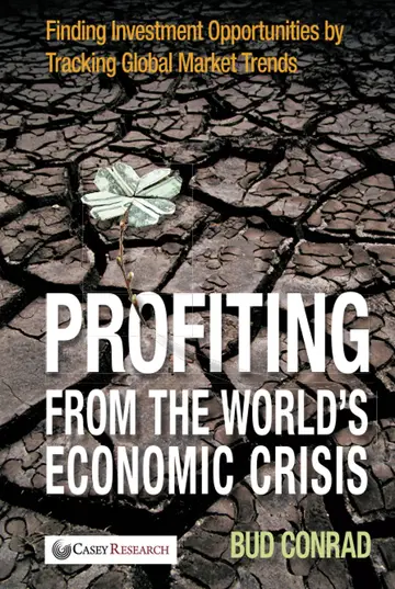 Cover of Profiting from the World's Economic Crisis